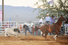 Barstow Rodeo Stampede '09 Phil Broda PRCA ProRodeo : Barstow California Perf2, Sunday September 27, 2009