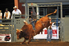 Norco Rodeo '09 Perfs 1&2 Phil Broda PRCA ProRodeo : Norco California Perfs 1&2 Friday & Saturday Nights August 21-22, 2009