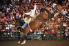 San Bernardino Sheriff's Rodeo '09 Perf2 Phil Broda PRCA ProRodeo : San Bernardino California Perf2 Saturday Night September 26, 2009